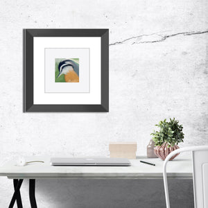 Framed Bird Prints