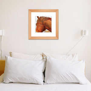 Framed Horse Prints