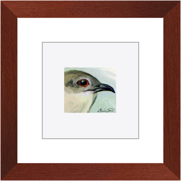 Framed Print | Bird Series | Black Billed Cuckcoo