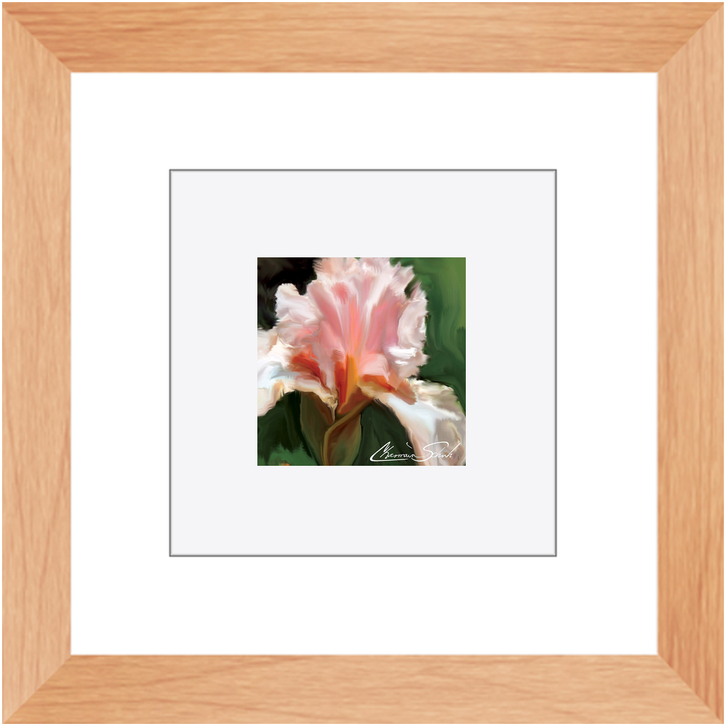 Framed Print | Flower Series | Pink Iris