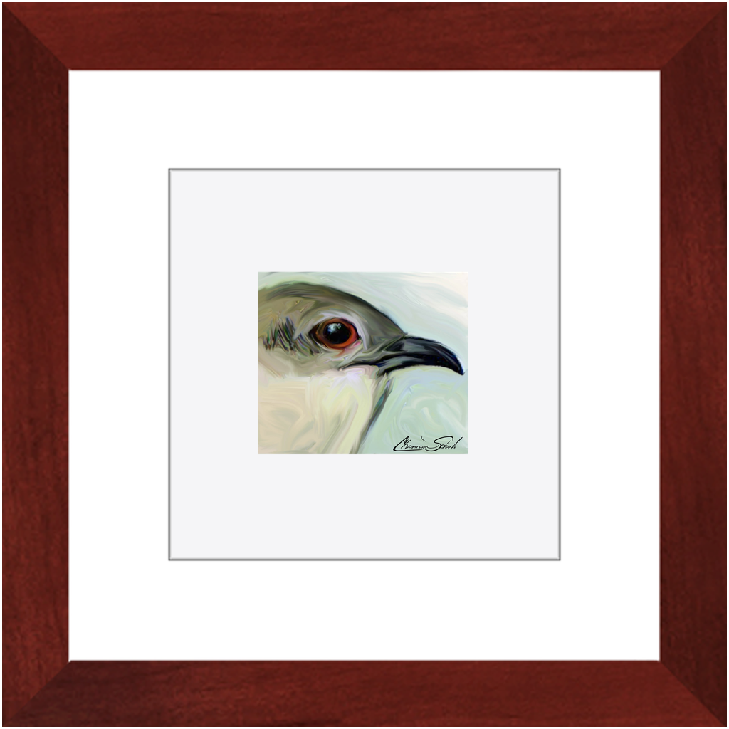 Framed Print | Bird Series | Black Billed Cuckcoo