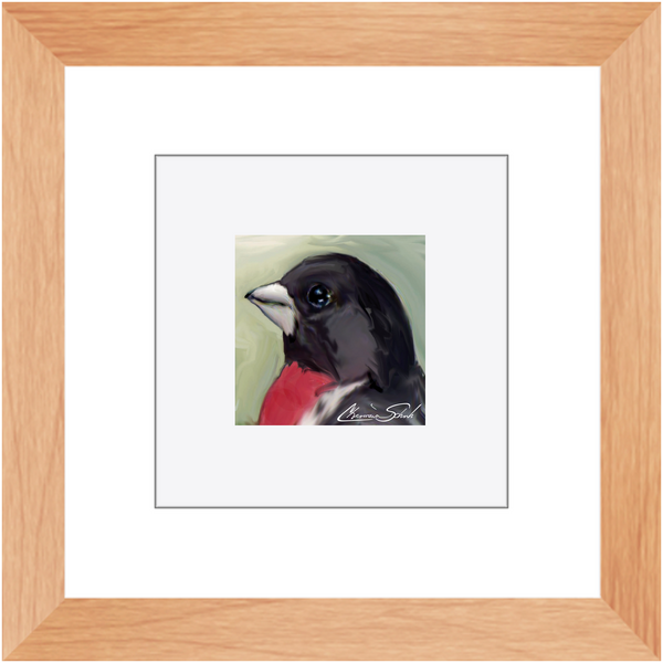 Framed Print | Bird Series | Rose Breasted Grosbeak