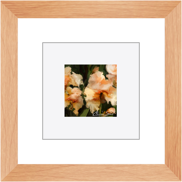 Framed Print | Flower Series | Peach Iris