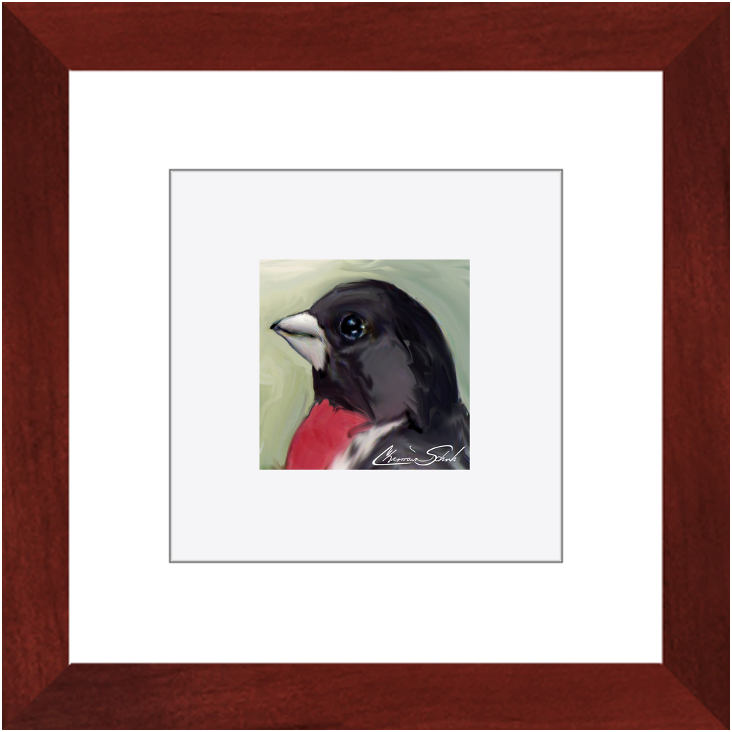 Framed Print | Bird Series | Rose Breasted Grosbeak