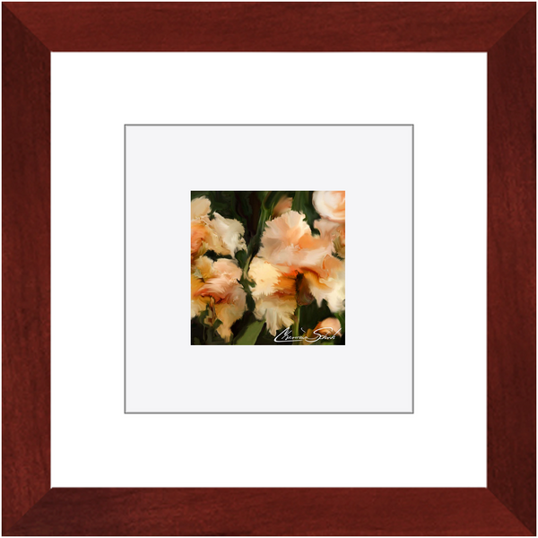 Framed Print | Flower Series | Peach Iris