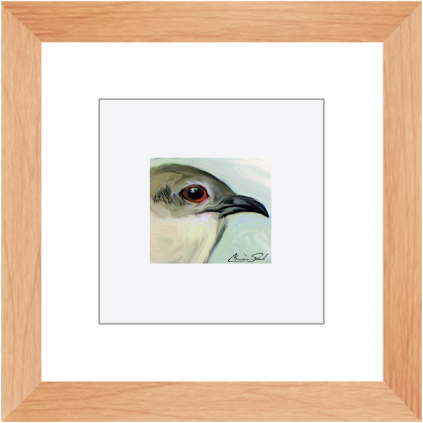 Framed Print | Bird Series | Black Billed Cuckcoo