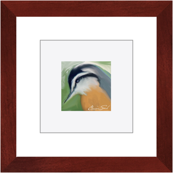 Framed Print | Bird Series | Red Breasted Nuthatch