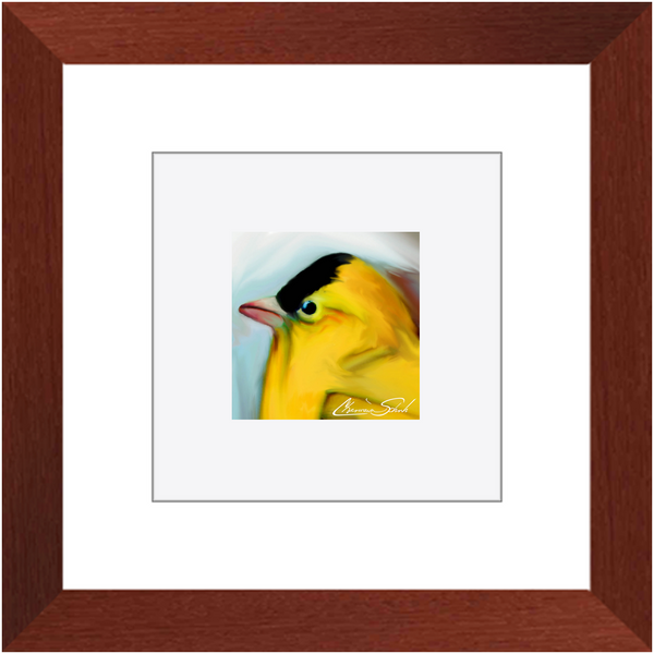 Framed Print | Bird Series | Goldfinch