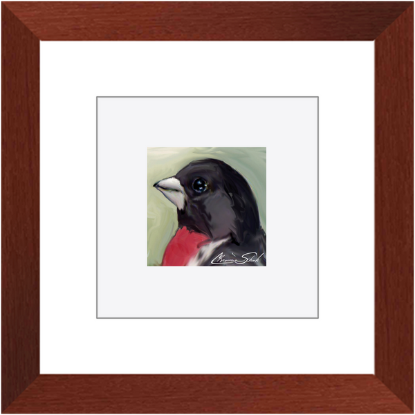 Framed Print | Bird Series | Rose Breasted Grosbeak