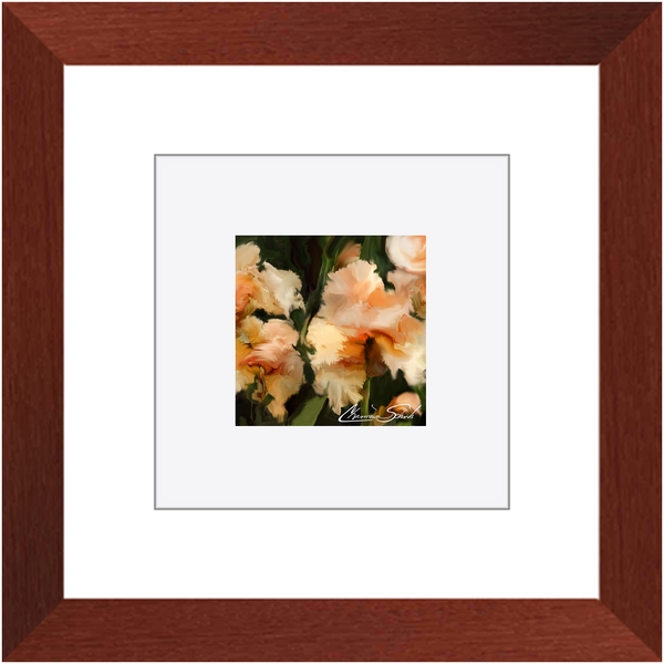 Framed Print | Flower Series | Peach Iris