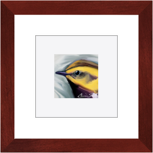 Framed Print | Bird Series | Black Throated Green Warbler