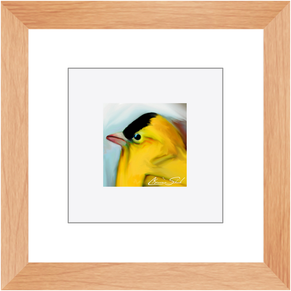 Framed Print | Bird Series | Goldfinch