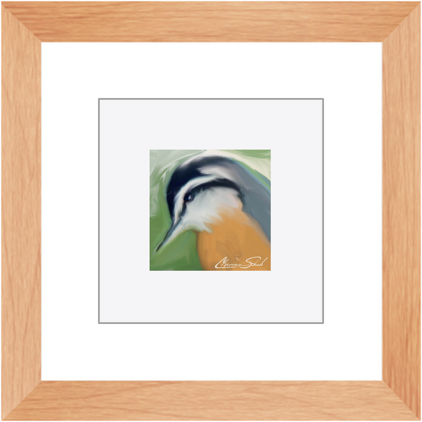 Framed Print | Bird Series | Red Breasted Nuthatch