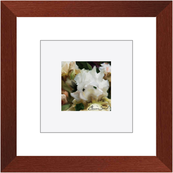 Framed Print | Flower Series | Iris Cream