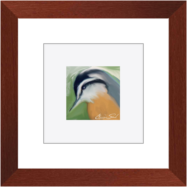 Framed Print | Bird Series | Red Breasted Nuthatch