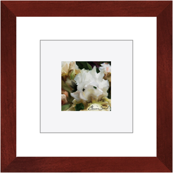 Framed Print | Flower Series | Iris Cream