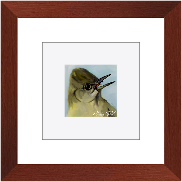 Framed Print | Bird Series | Crested Flycatcher